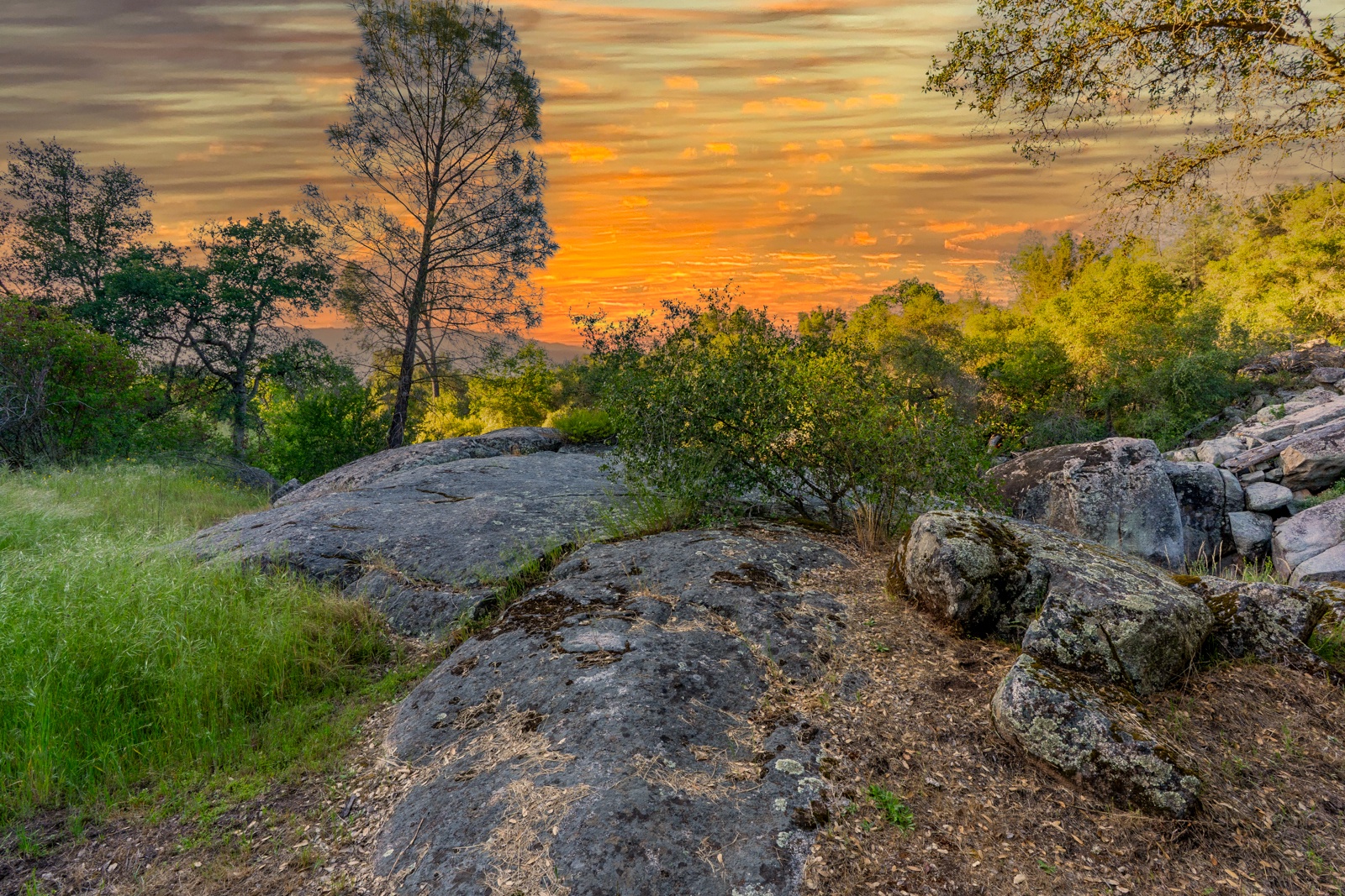 Explore the natural rock formations up close.