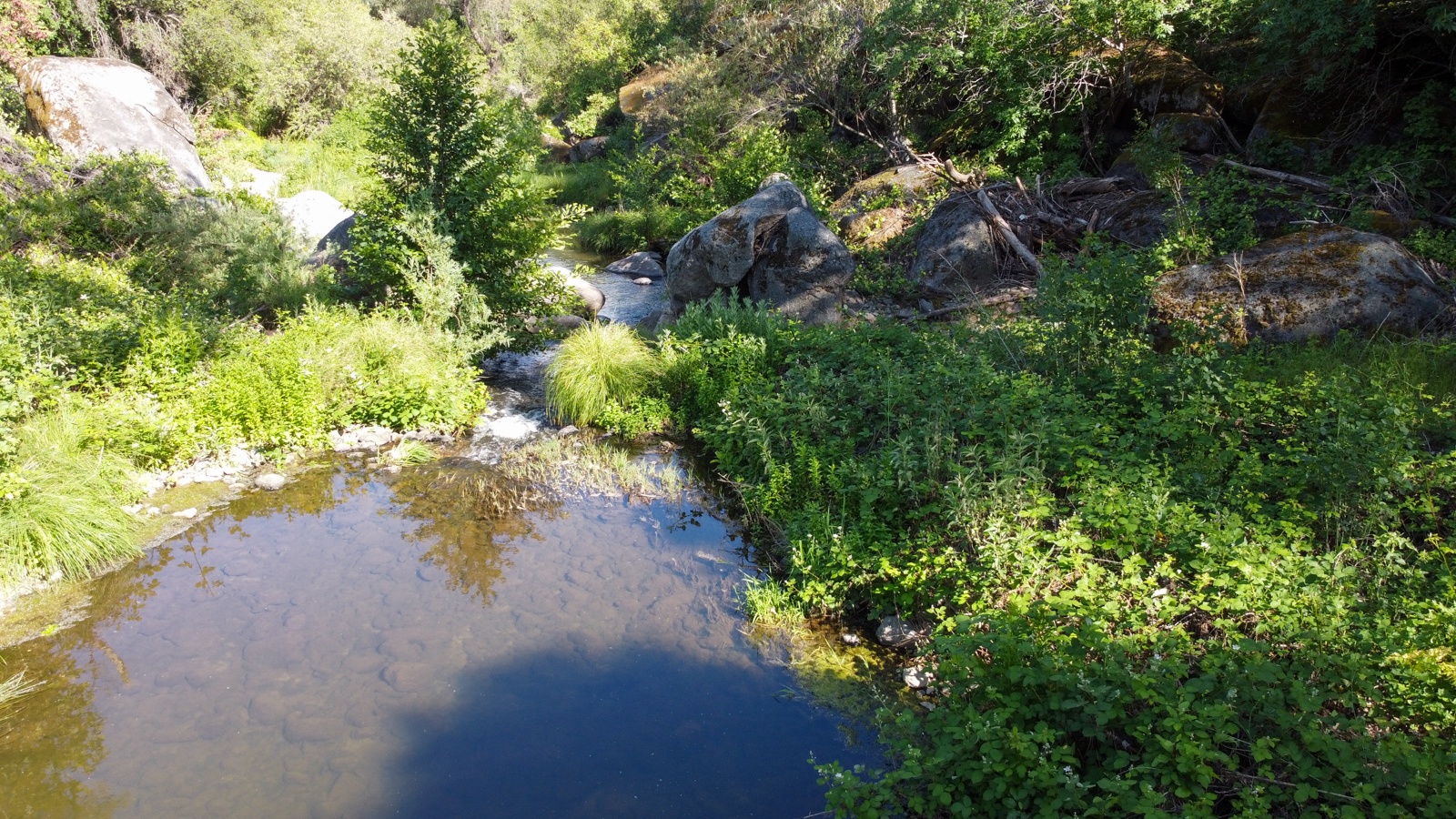 Aerial view of the creek winding through.