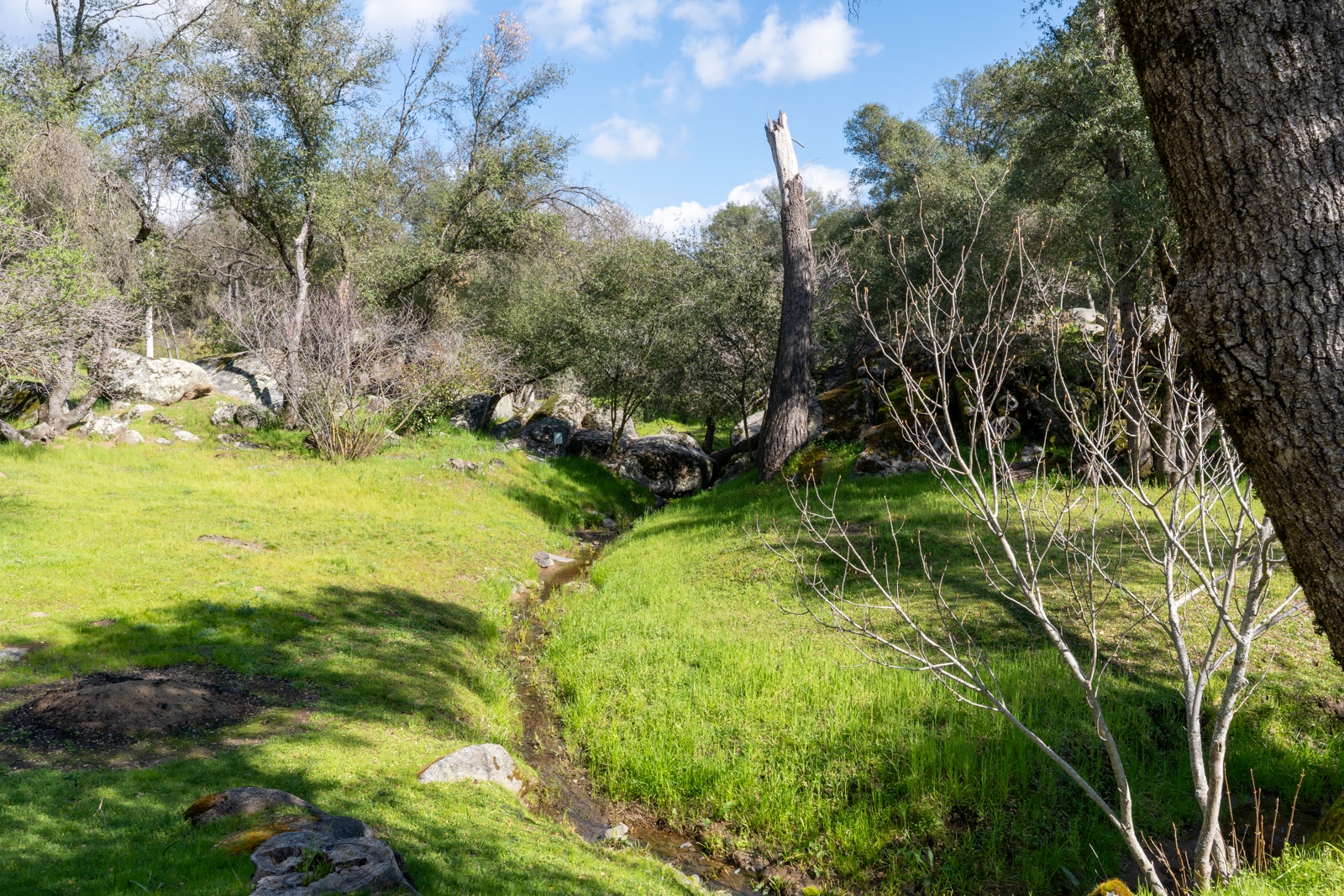 Peaceful natural landscape surrounds the property with lush meadows, mature trees, and rocky terrain.