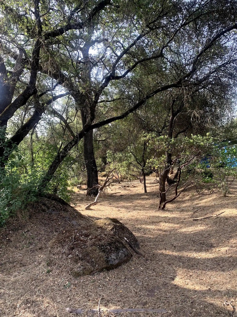A peaceful and private space in nature.