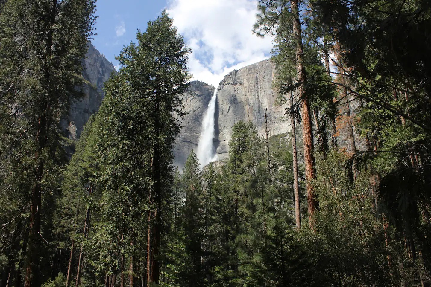 Bask at Yosemite National Park as you enjoy its spectacular waterfalls, granite cliffs, and towering trees.