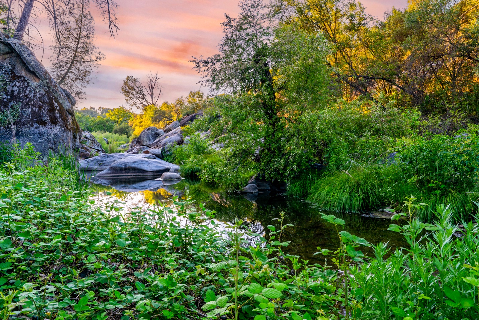 A natural creek winds through the property.