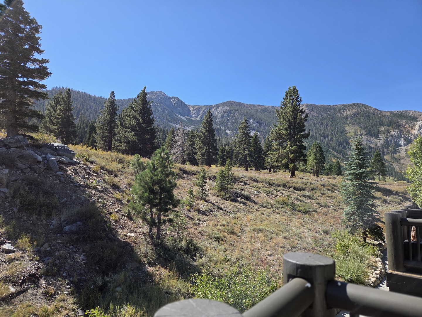 View
