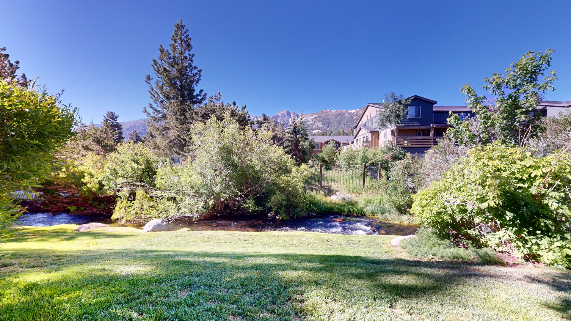 554-Golden-creek-06292024_224146