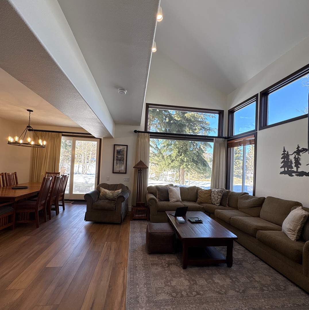 Living and Dining Room