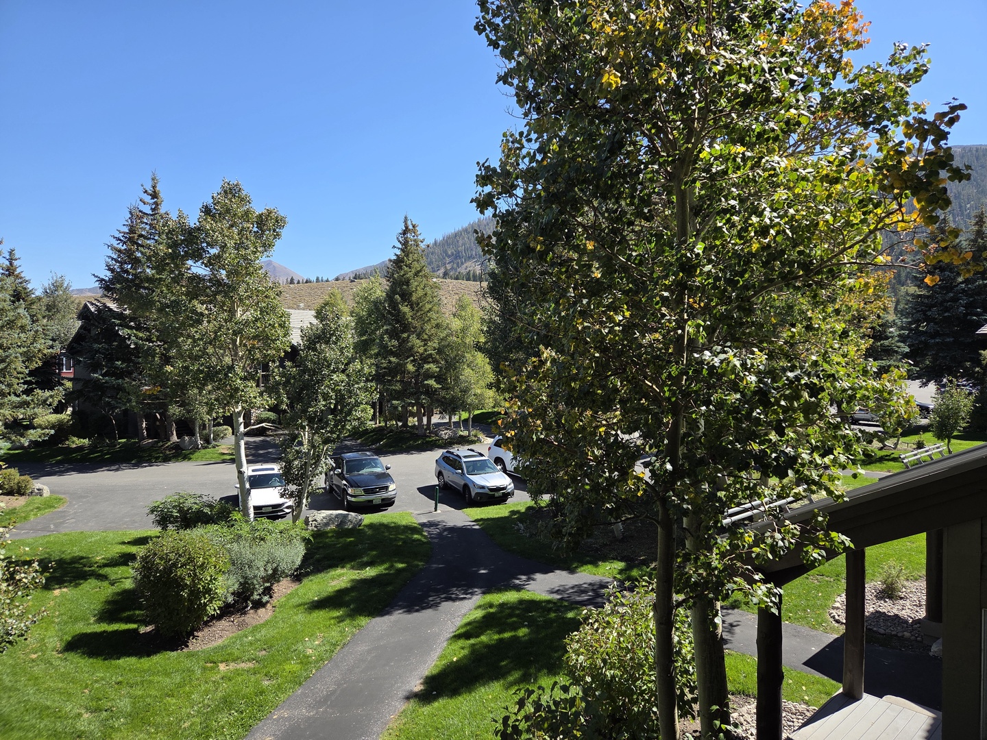 View