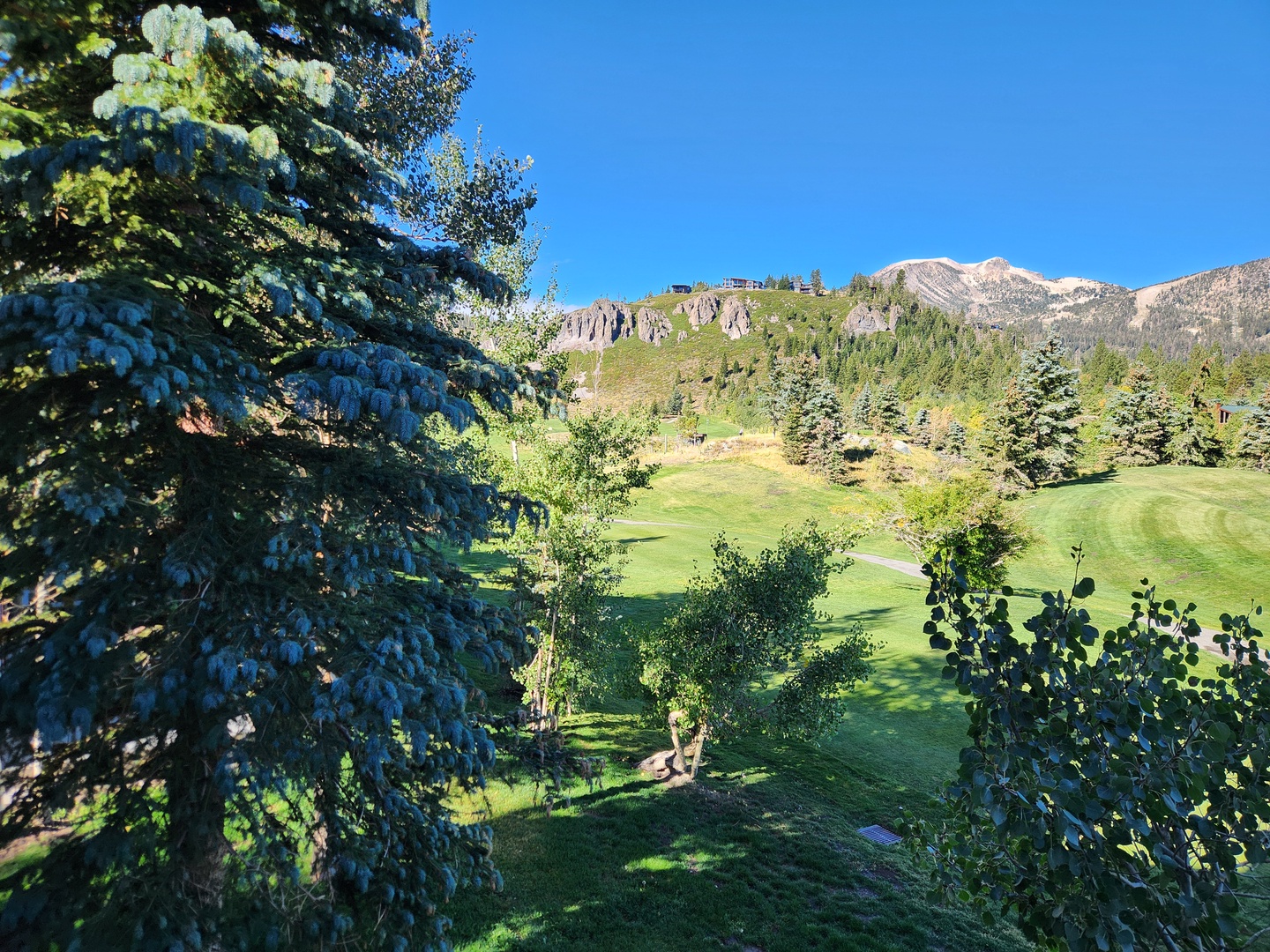 View
