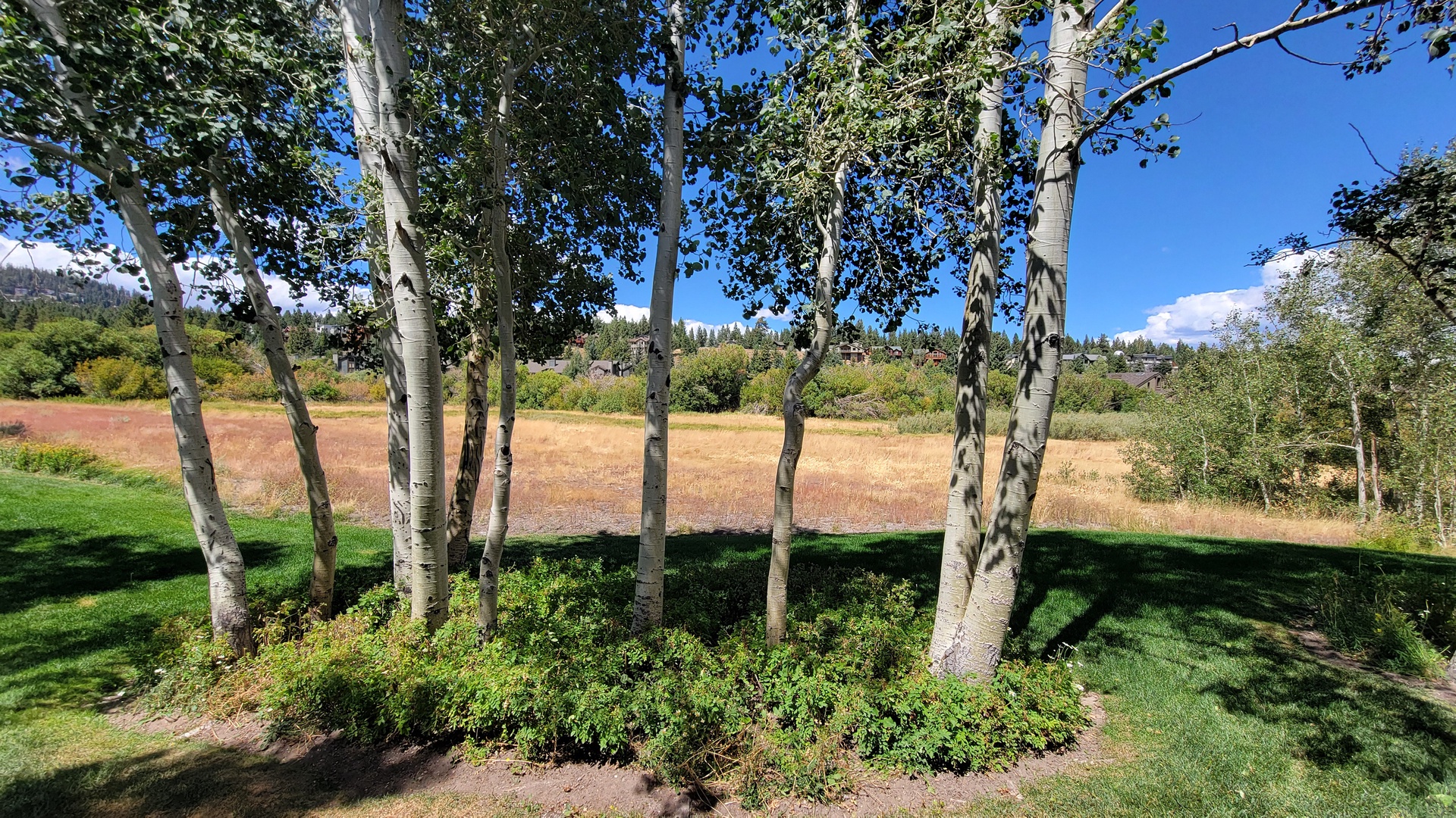 View