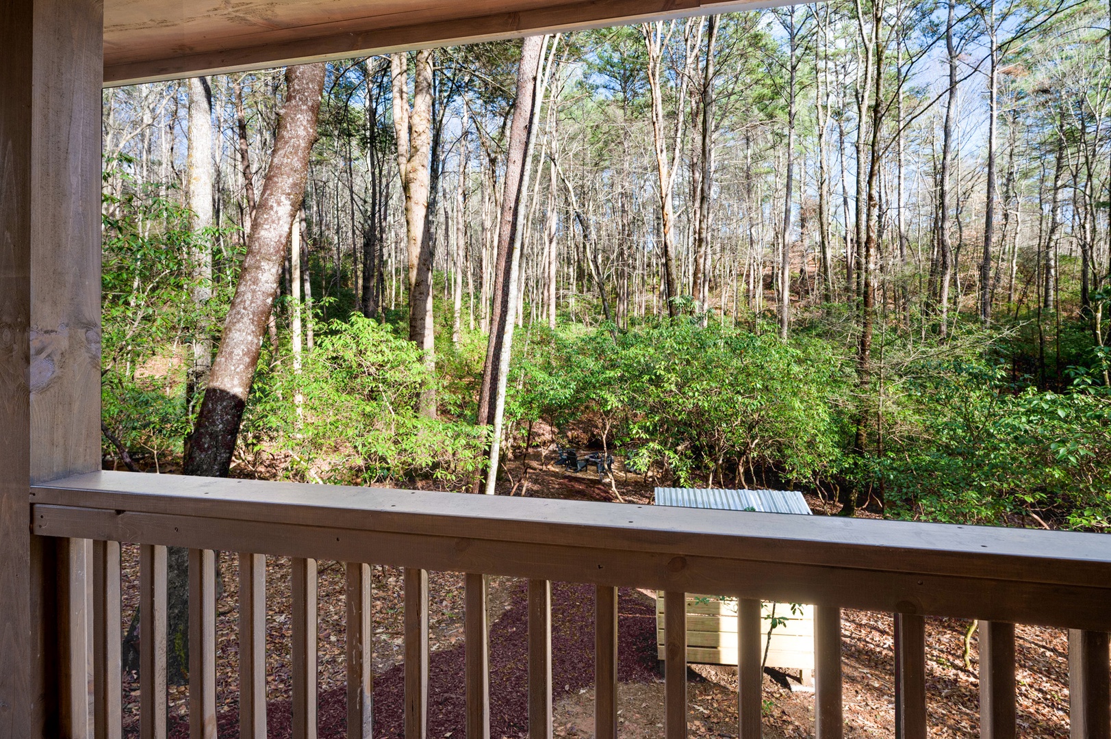 Trail Side Retreat: View from Front Porch