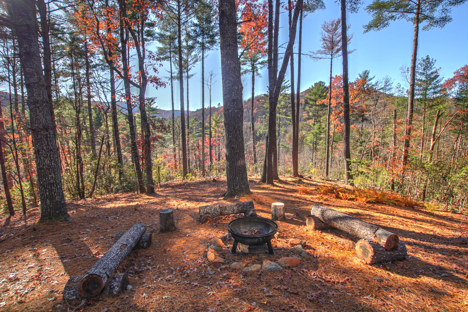 Laurel Breeze - Fire Pit Nestled in the Woods