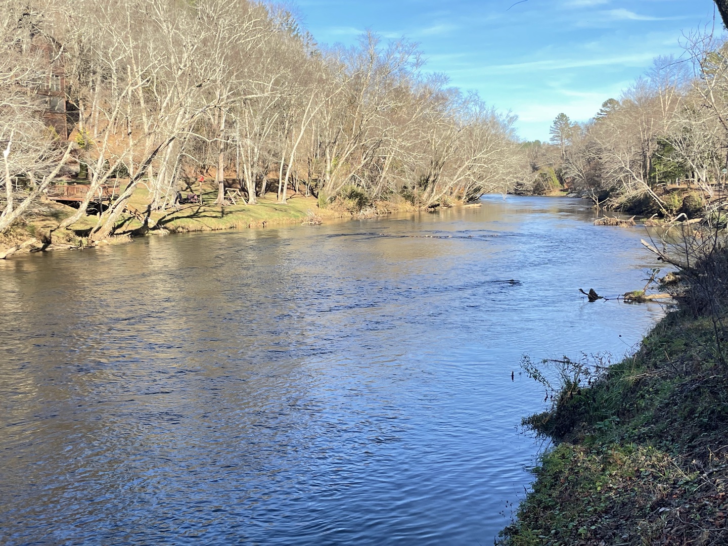 Bears Repeating - Access to Toccoa River