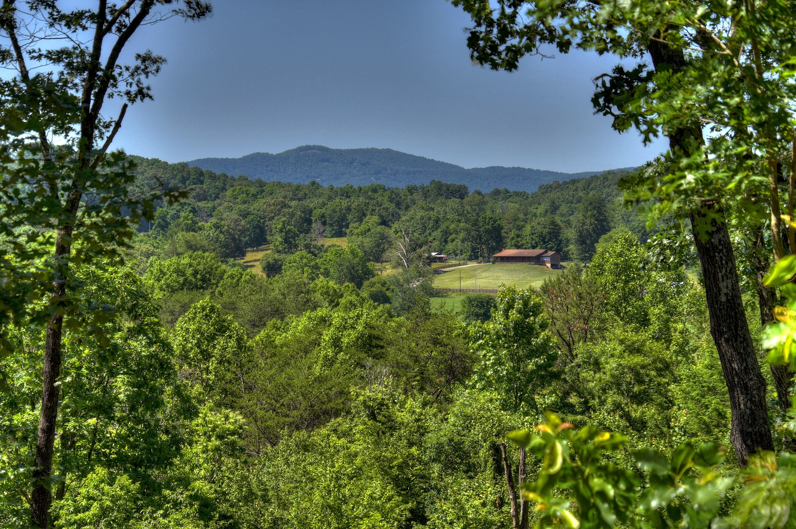 Whippoorwill Calling - Forest, Valley and Long Range Views