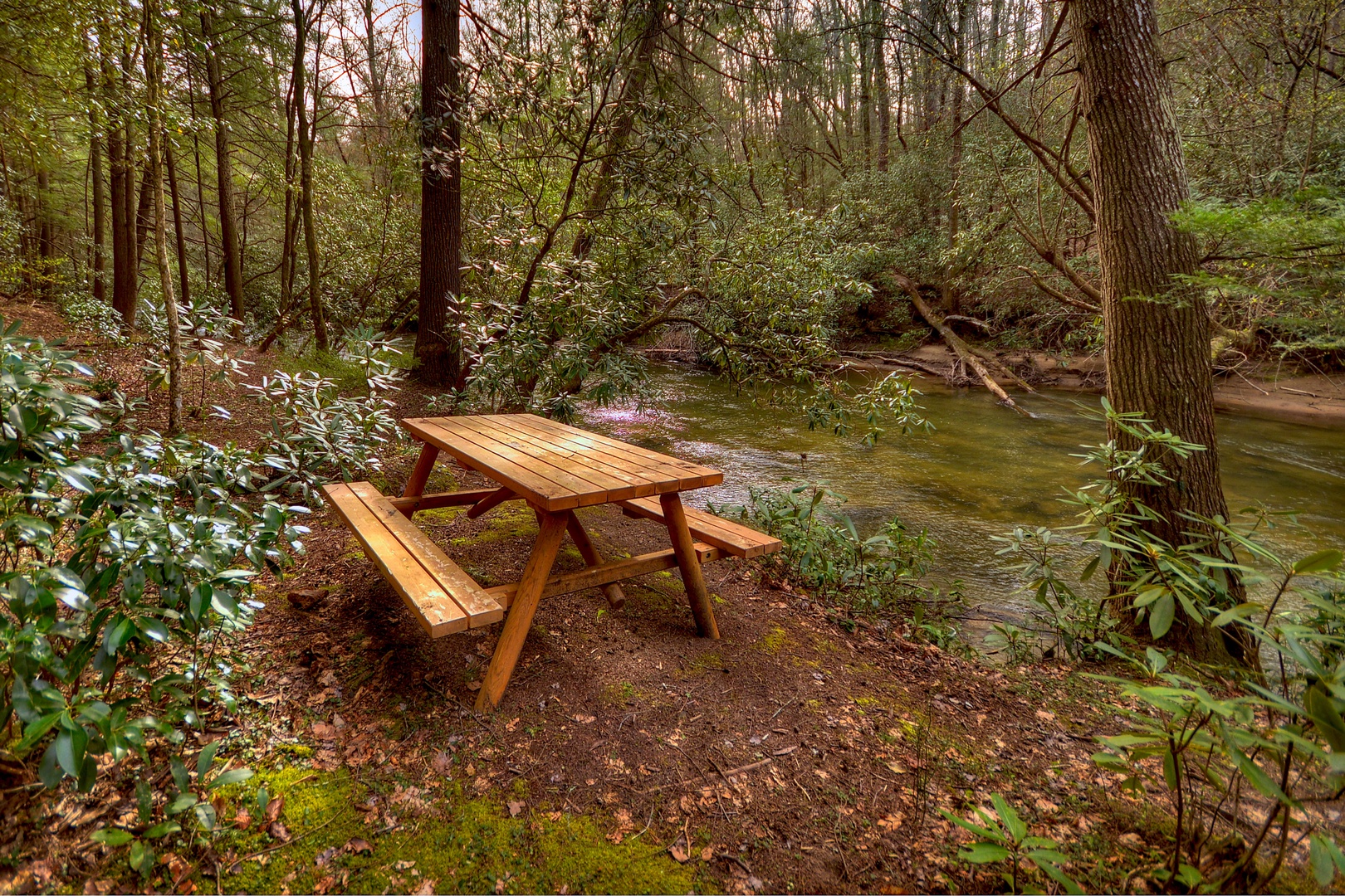Reel Creek Lodge- Picnic table overlooking Fightingtown Creek