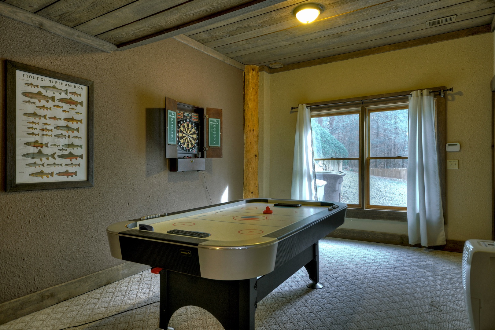 Reel Creek Lodge- Lower level air hockey table and dart board