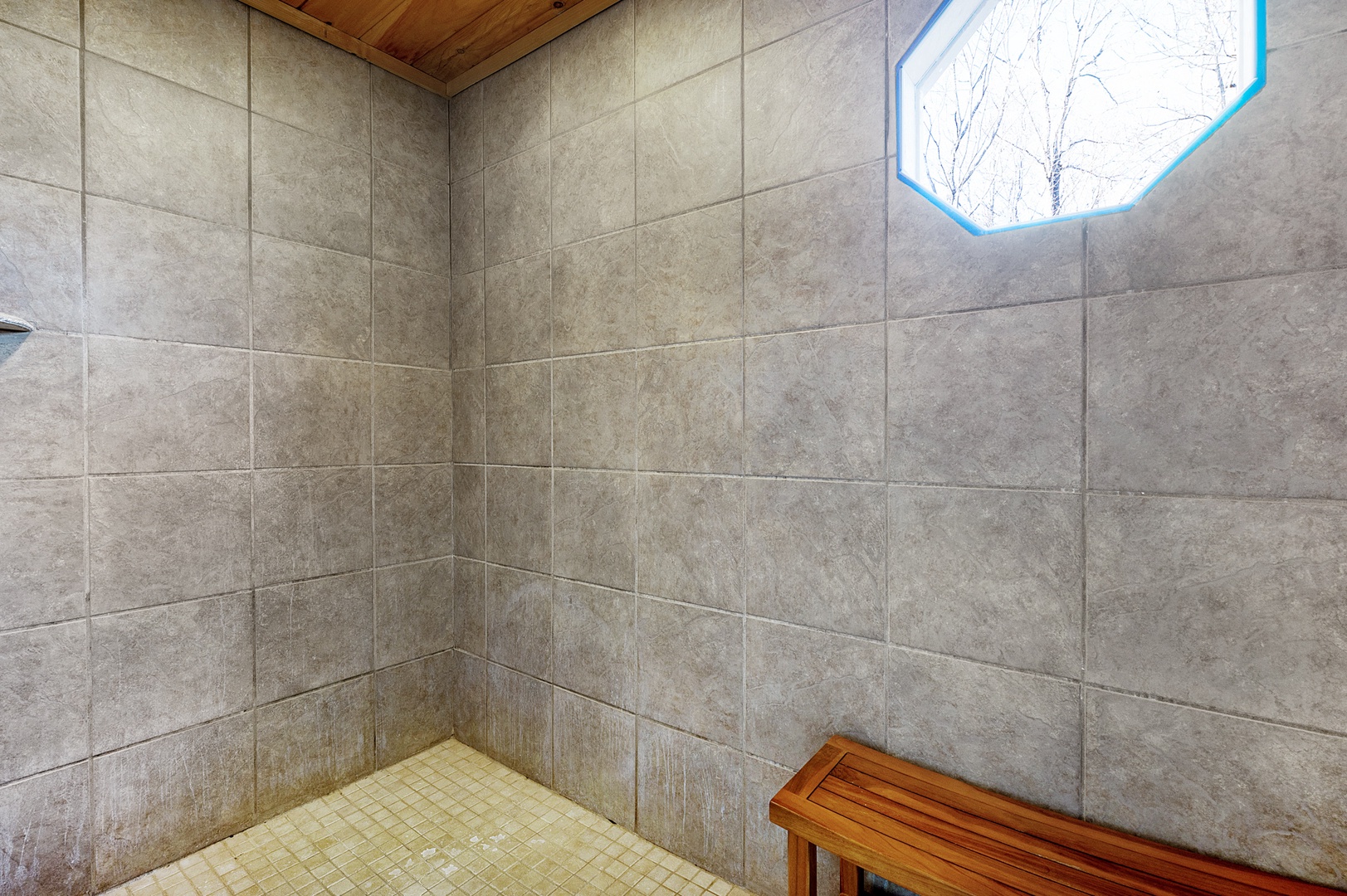 Above It All - Primary Suite Oversized Shower