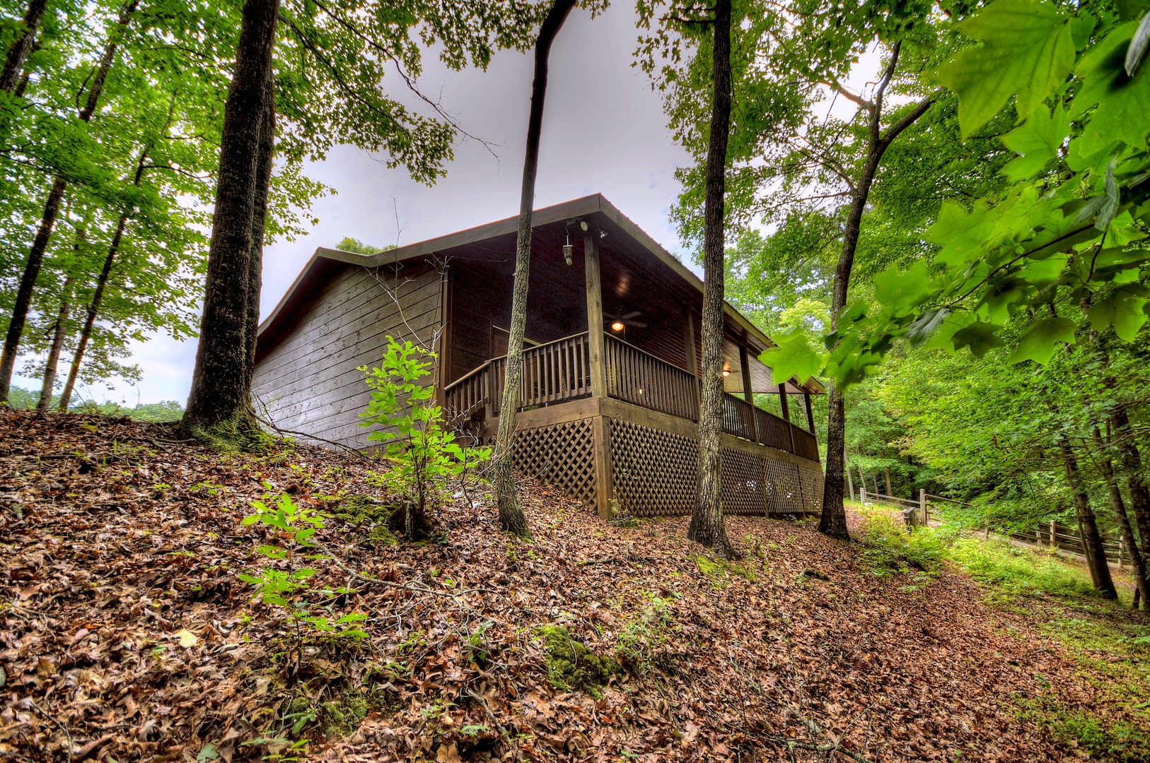 Ole Bear Paw Cabin - Cabin Rental in North Georgia