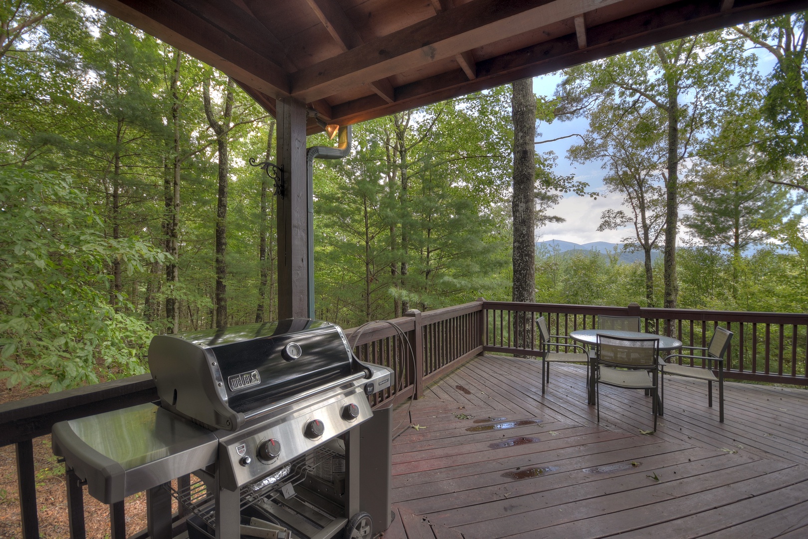 Bear Paw - Deck with Gas Grill