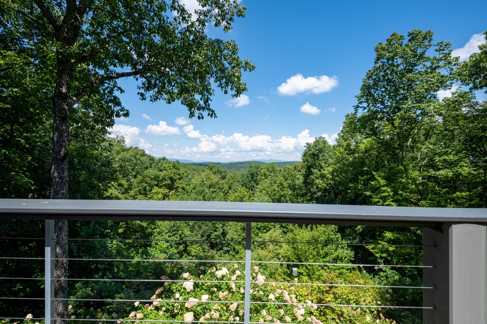 The House on the Hill: Entry Level Deck View