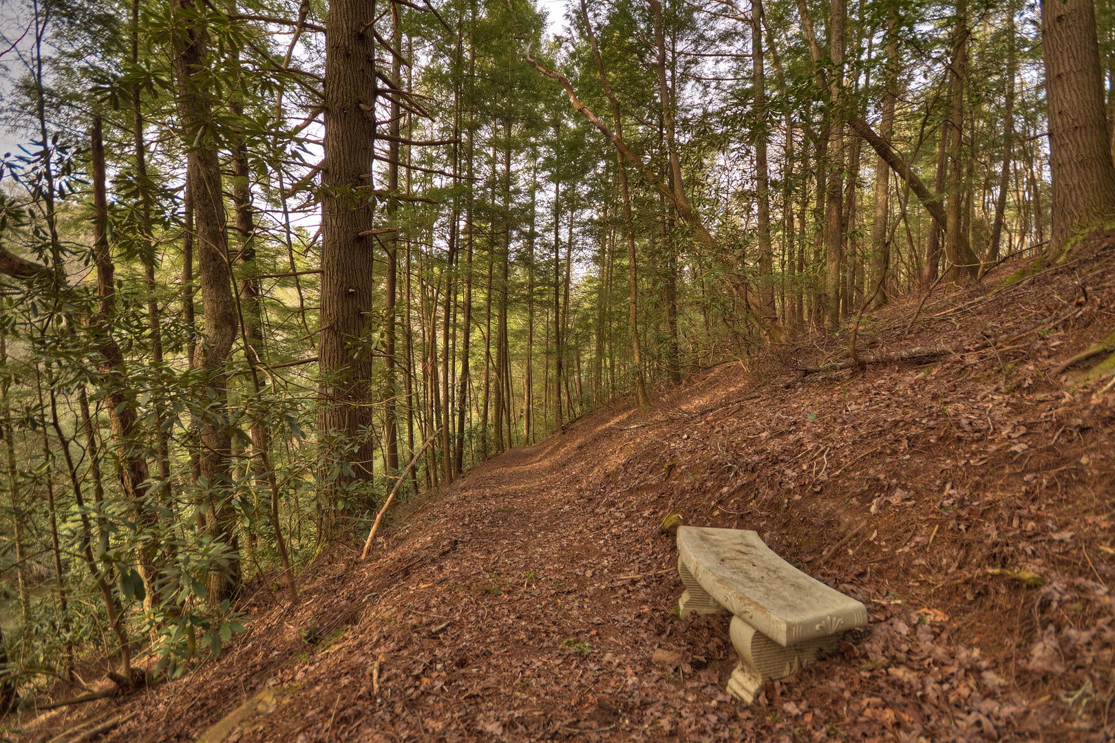 Reel Creek Lodge- Bench seating along the trail way