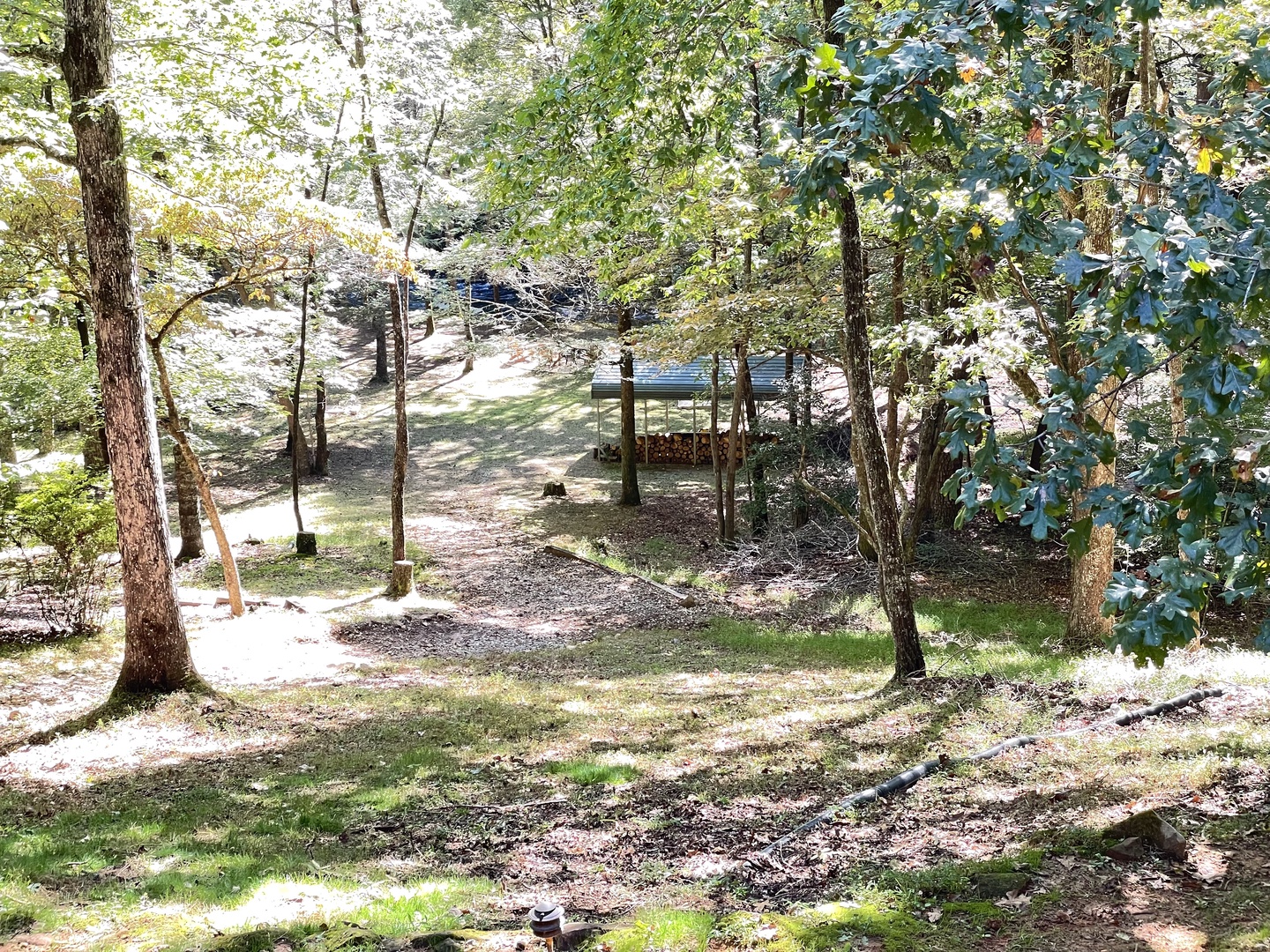Creekside Getaway: View from Back Porch