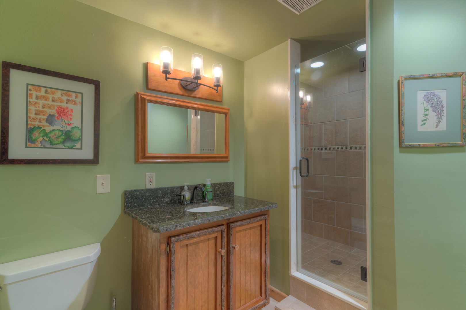 Trails End- Lower level full bathroom with walk in shower
