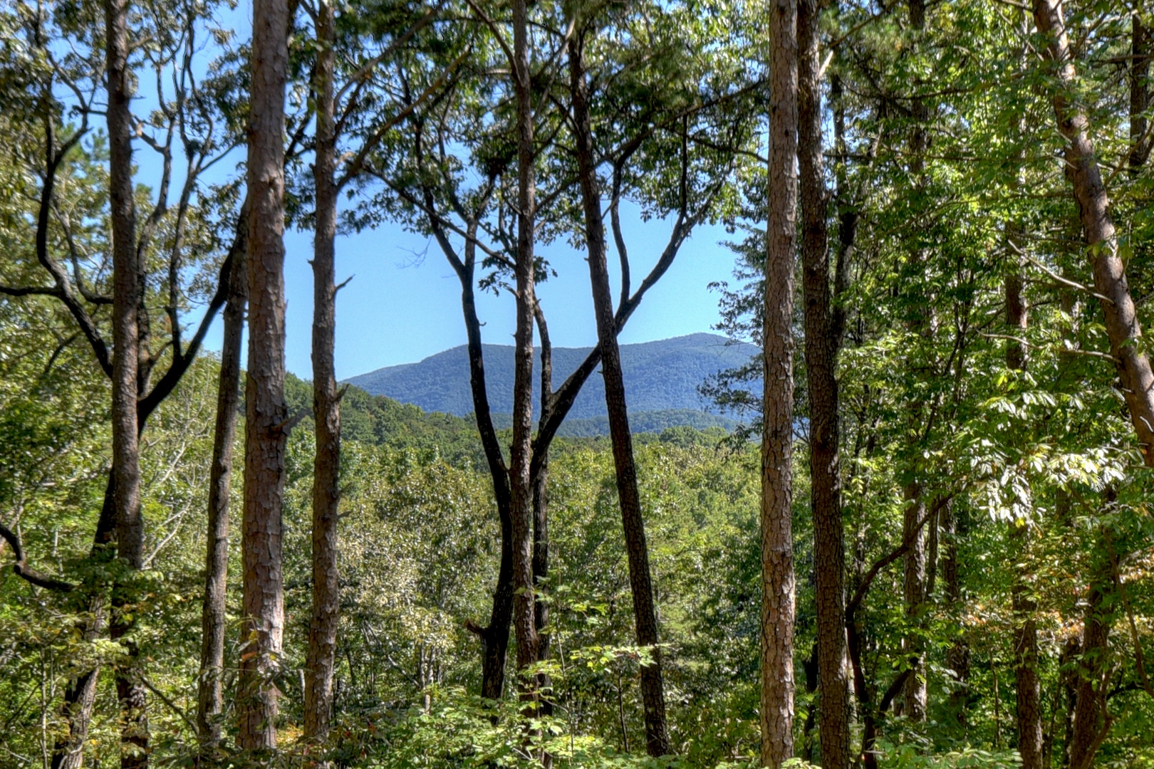 Lee's Lookout - View from Deck