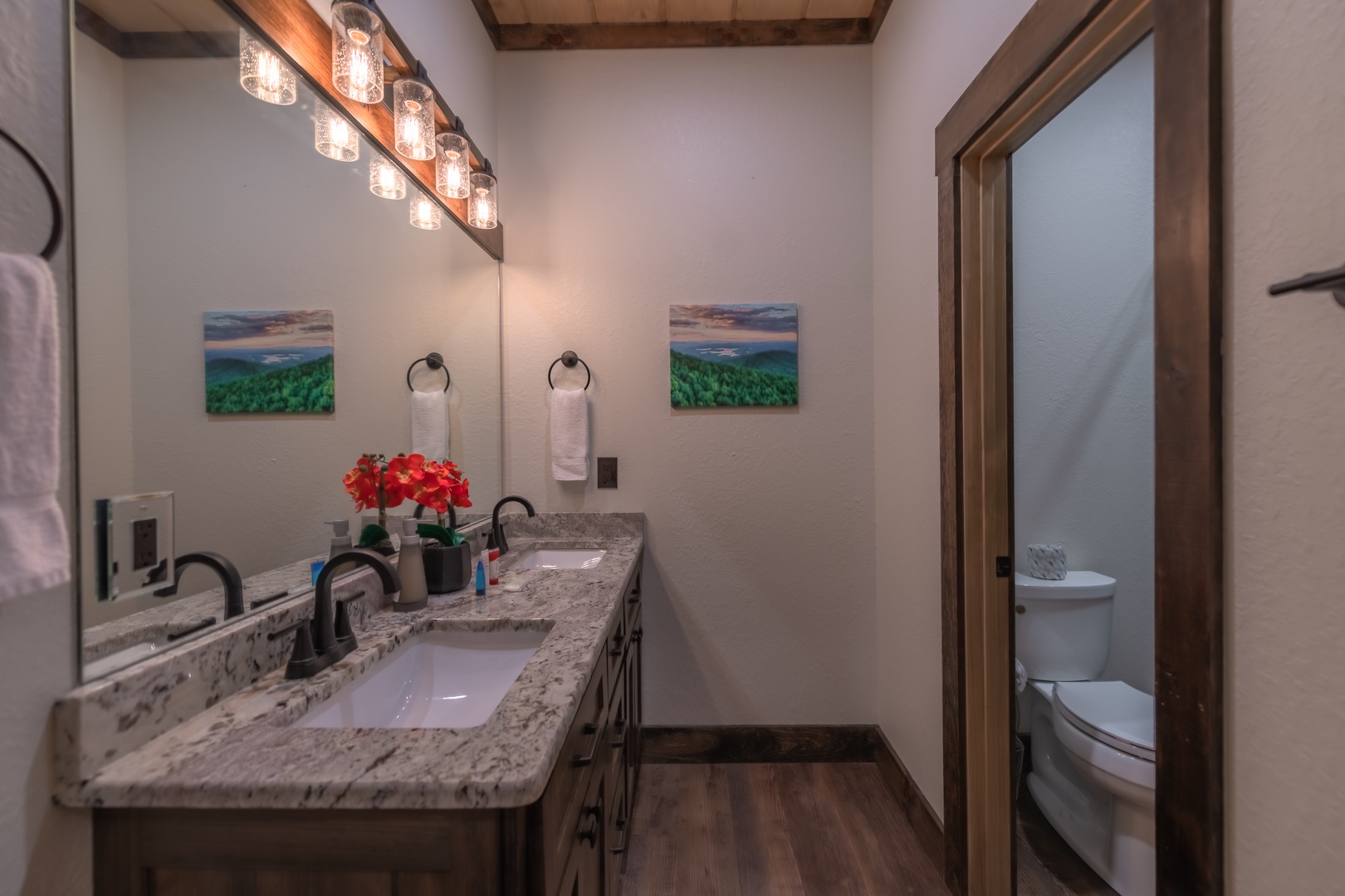 Highland Escape- Lower Level Guest Bathroom