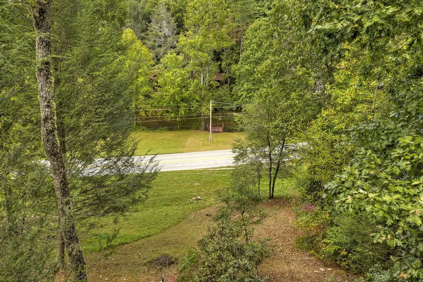 Toccoa Mist- View of the road leading to the cabin