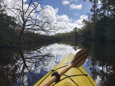 Go Exploring by Kayak