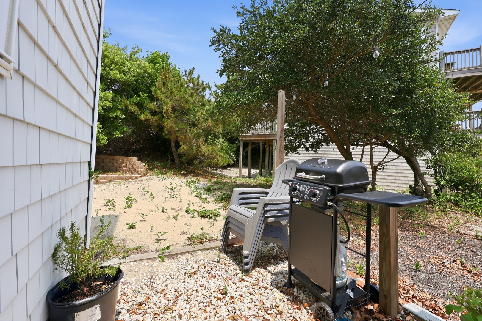 Dolphin Reach Up | Outdoor Area