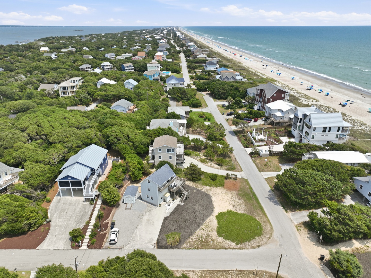 Dolphin Reach Up | Aerial View