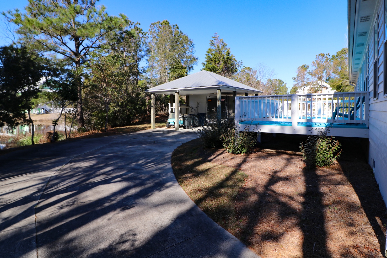 Golf cart and driveway