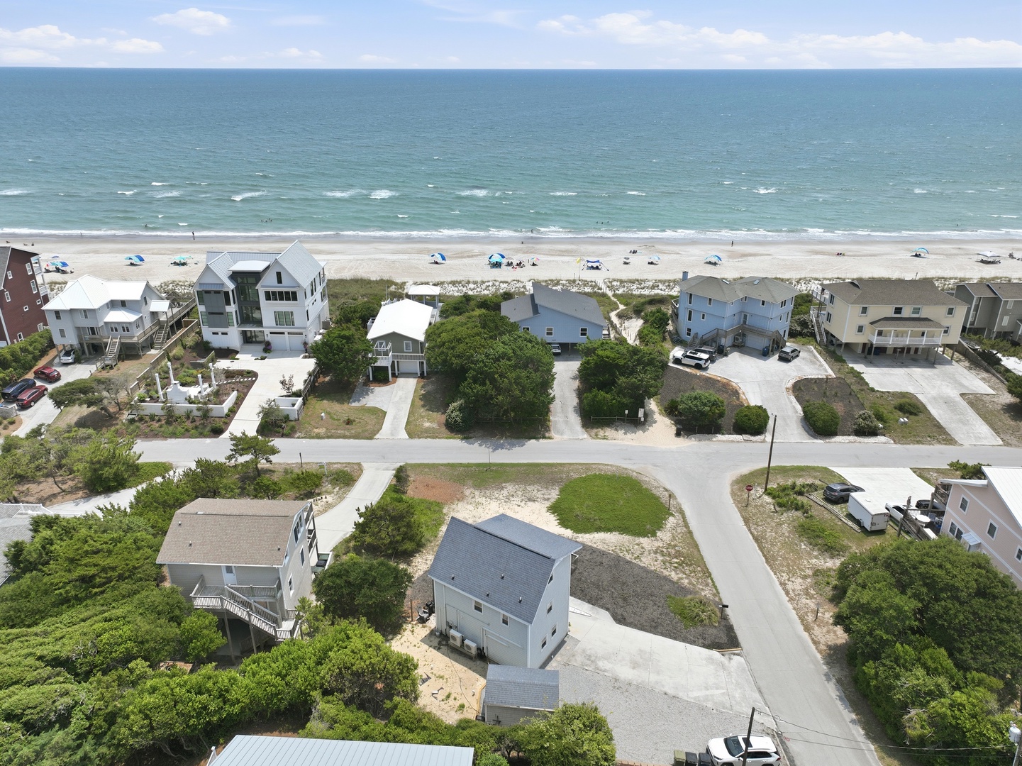 Dolphin Reach Down | Aerial View