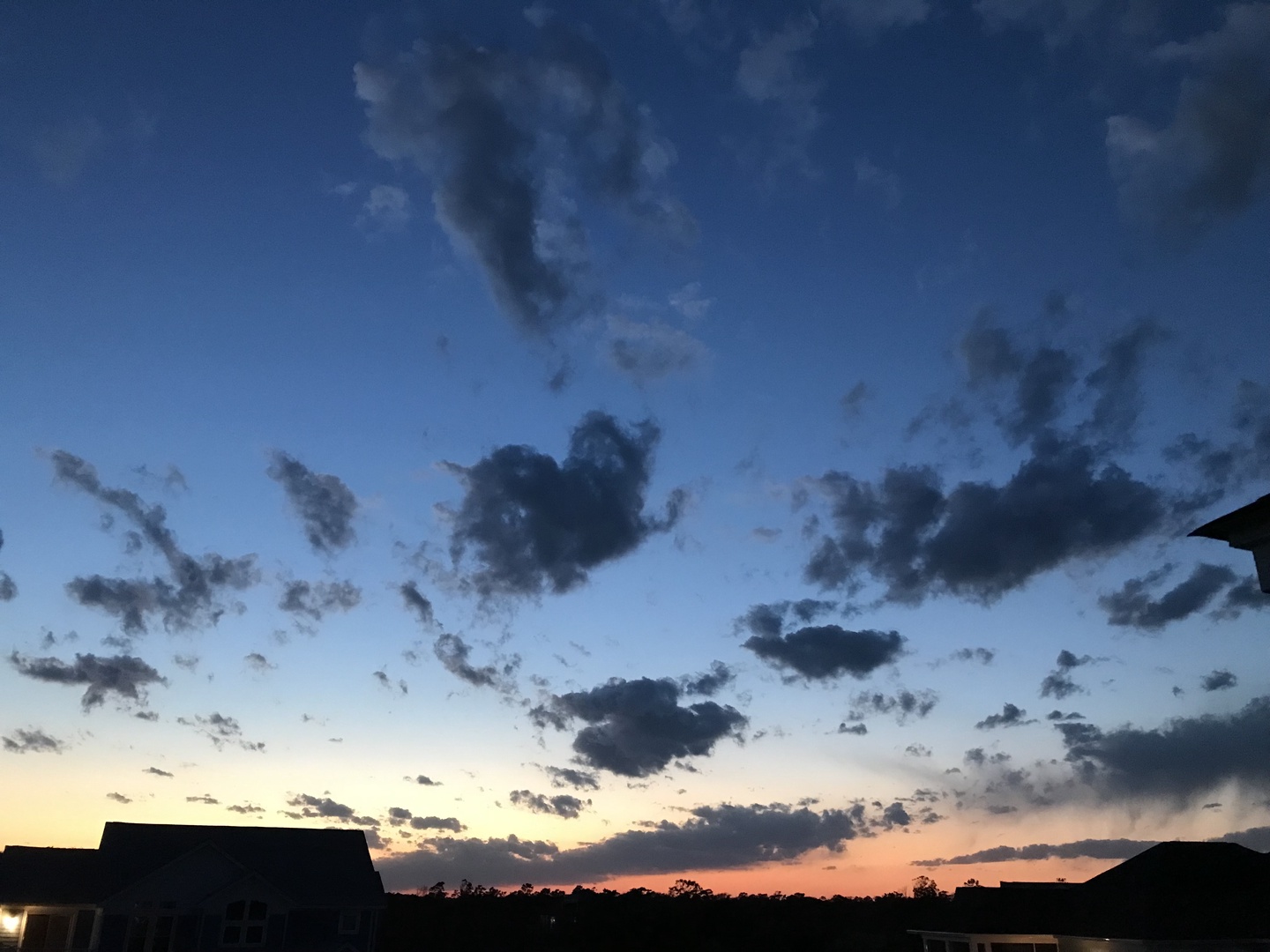 Night Sky