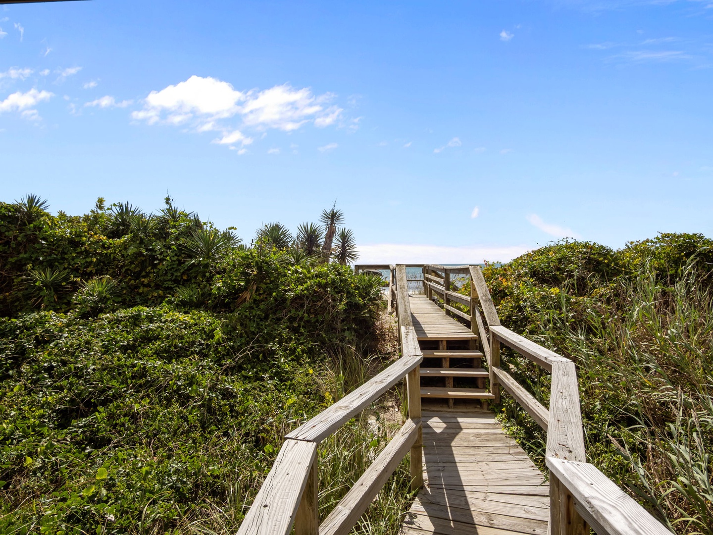 A wooden boardwalk winds through native coastal vegetation toward the beach, surrounded by lush greenery under clear blue skies.