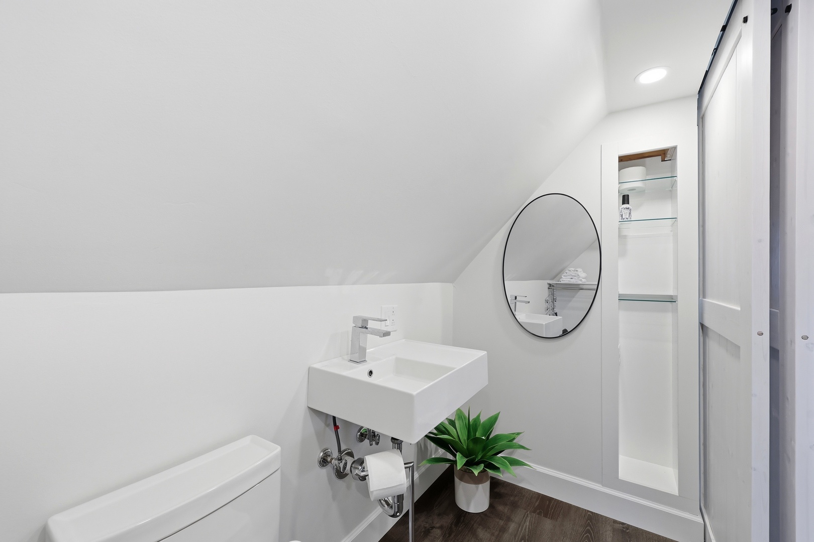 Dolphin Reach Up | Loft Bathroom