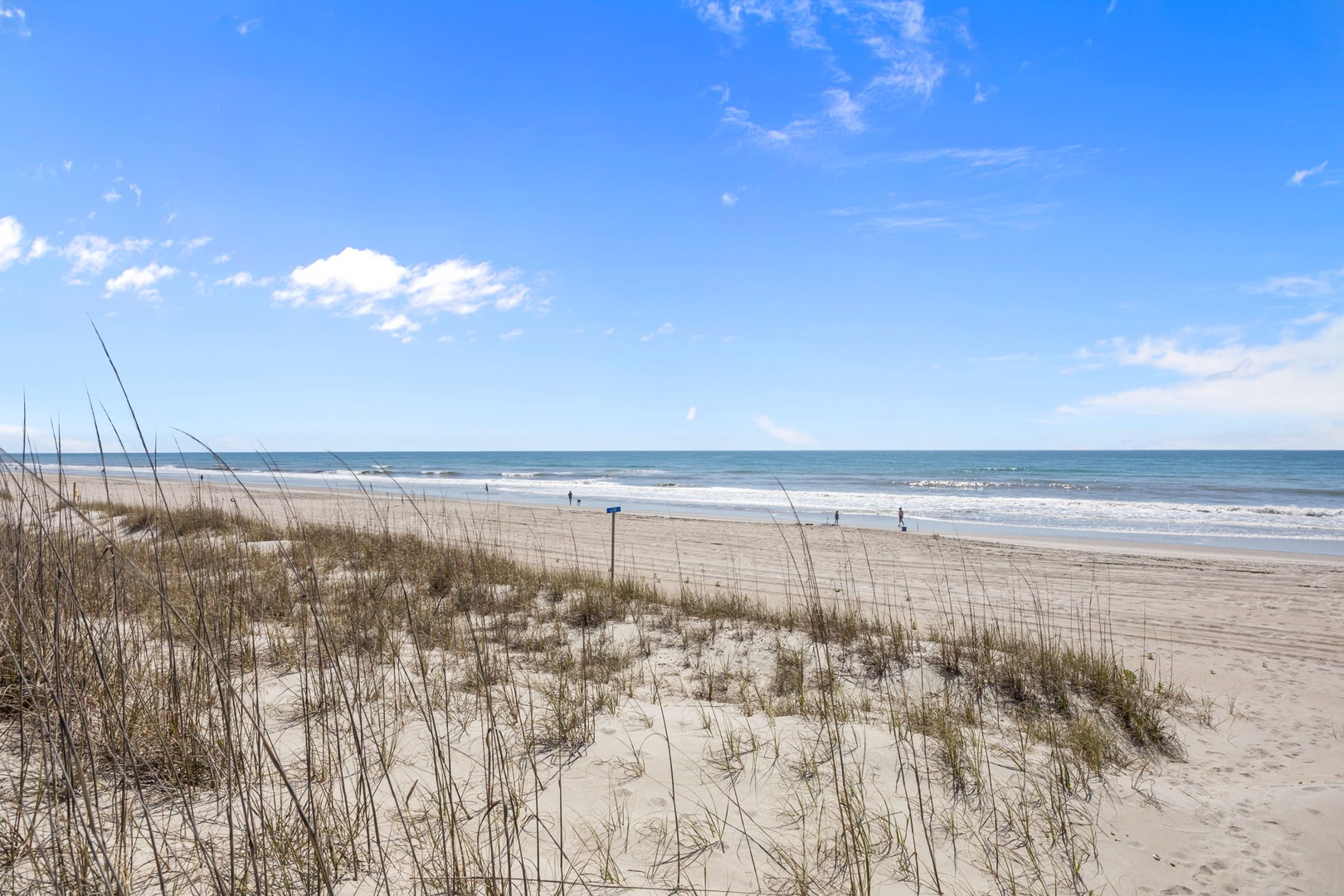 43-web-or-mls-IMG_9546