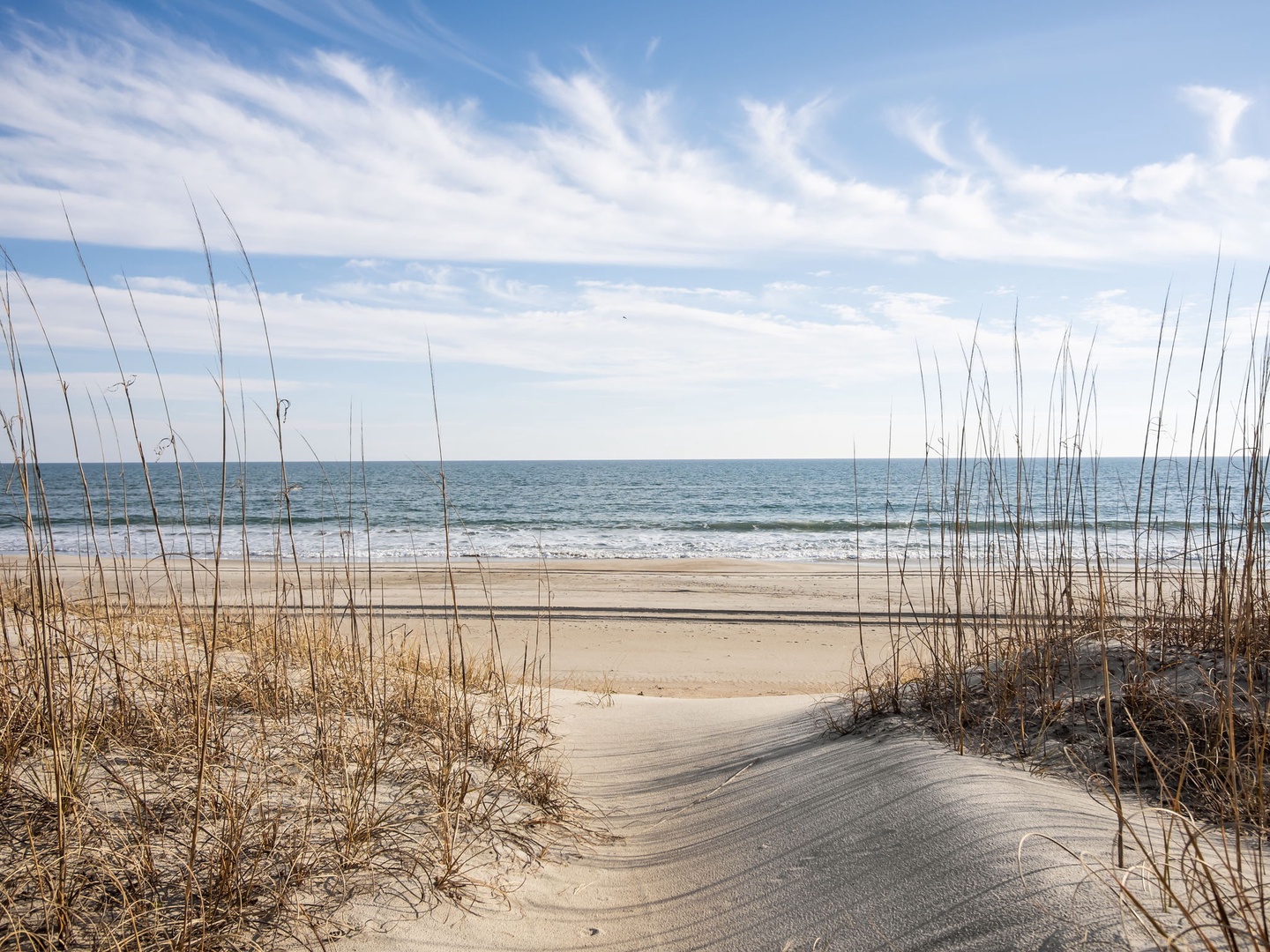 Pristine sandy beach with gentle waves and coastal dunes creates a peaceful seaside escape.