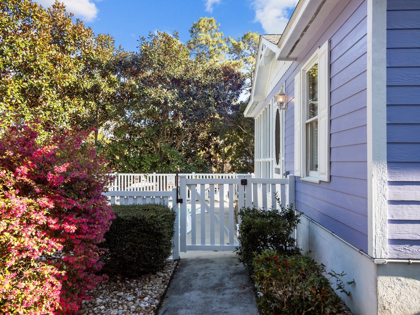 46-web-or-mls-P3210798