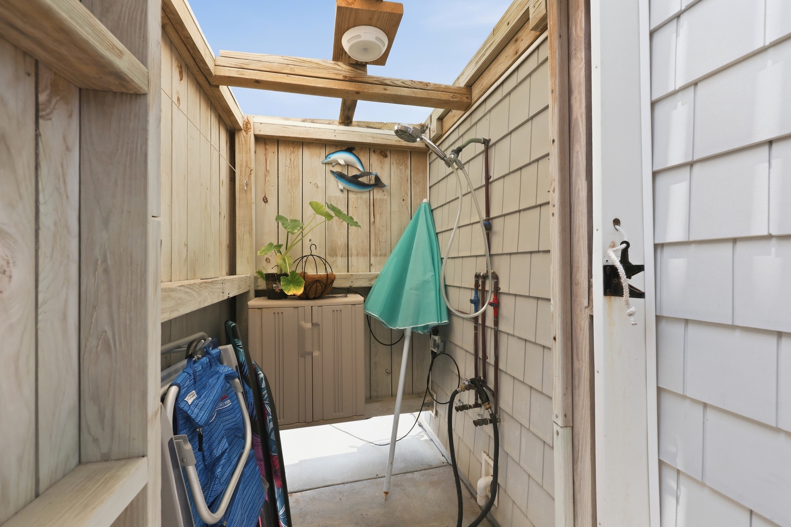 Dolphin Reach Up | Outdoor Shower