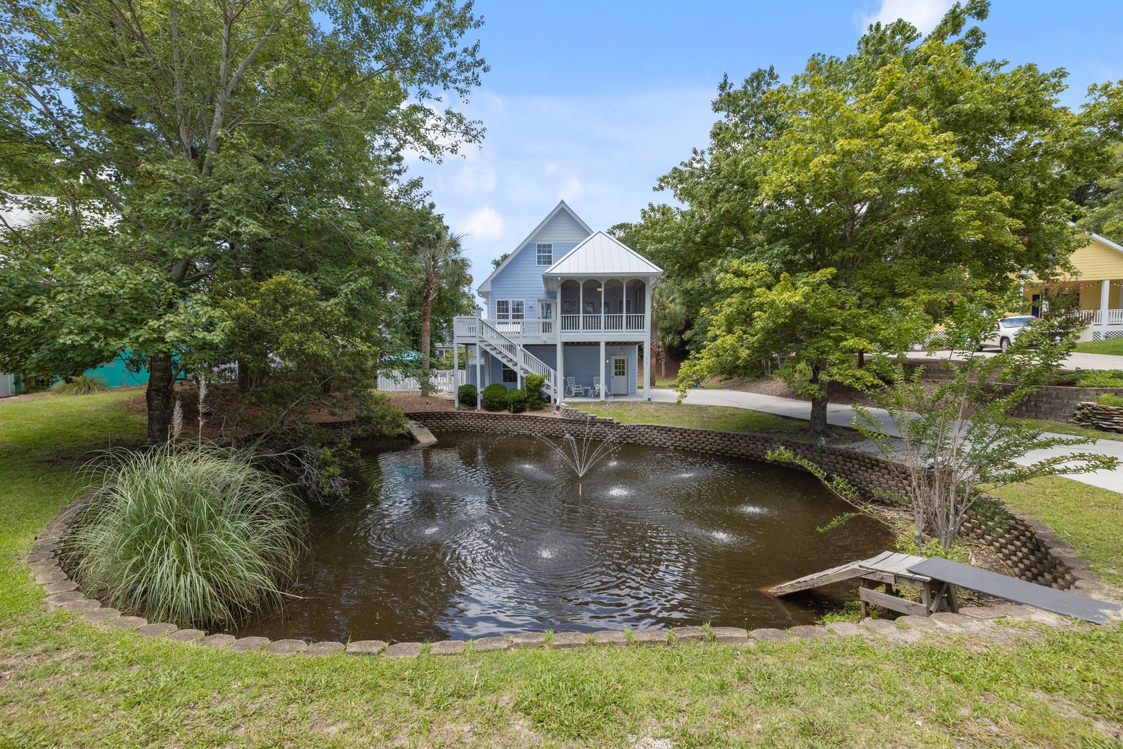 Come Feed the Turtles!