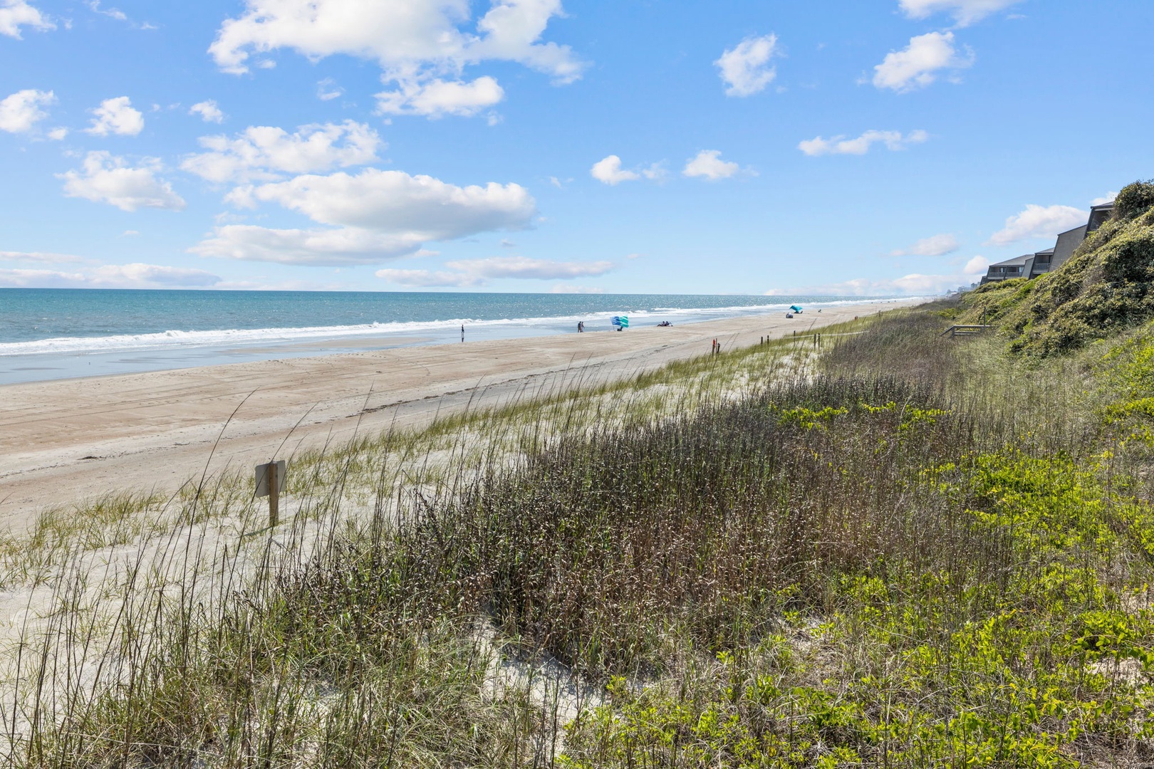 Pristine coastline with sandy beach and natural dune vegetation, featuring residential properties overlooking the ocean.