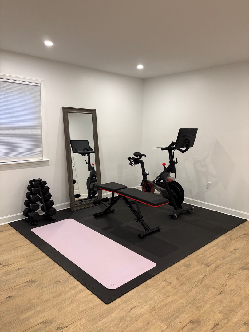 Mini In House Gym!