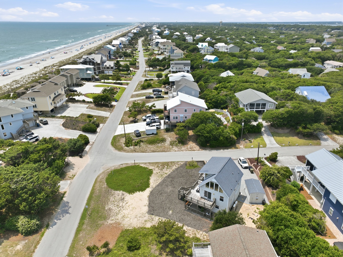 Dolphin Reach Down | Aerial View