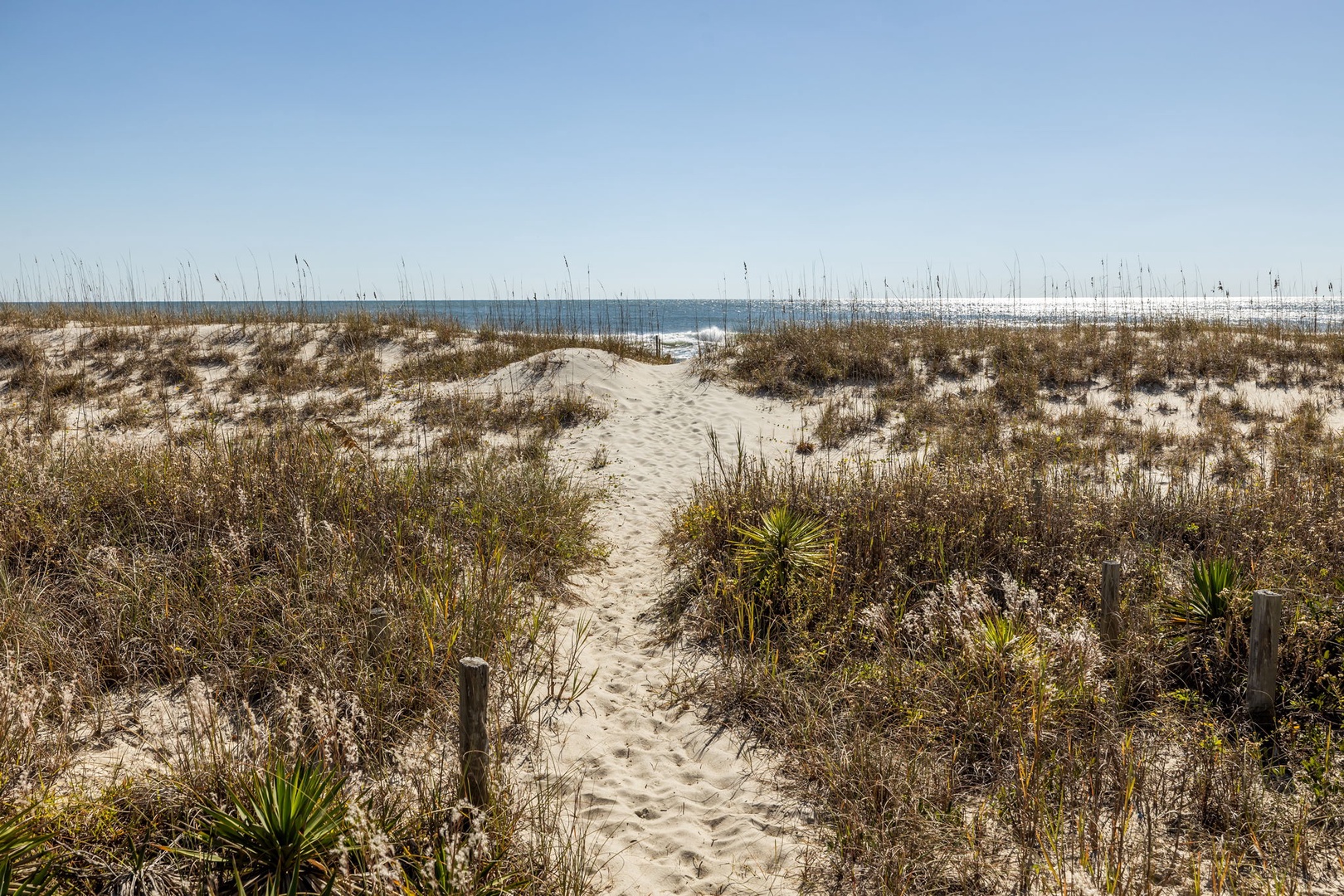 Sandy pathway winds through coastal dunes to pristine beach access with ocean views.