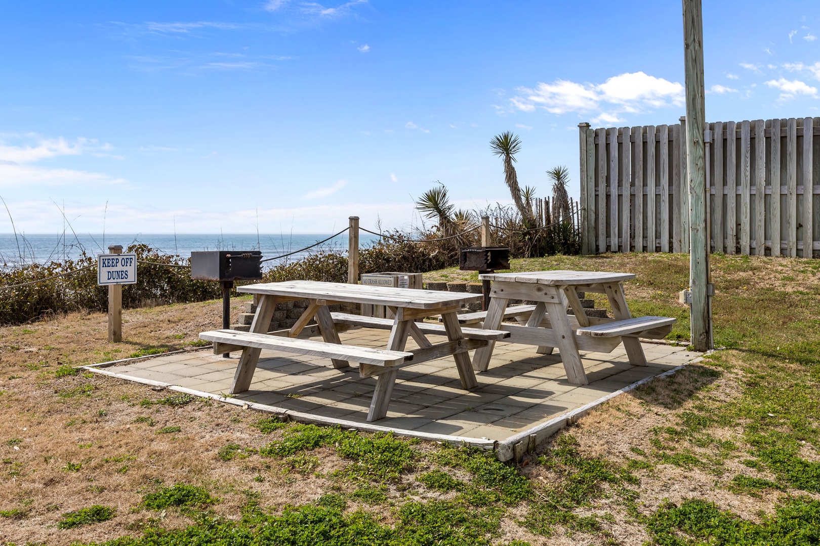 Coastal picnic tables overlooking the sea with native vegetation and wooden fencing creating a natural seaside setting.