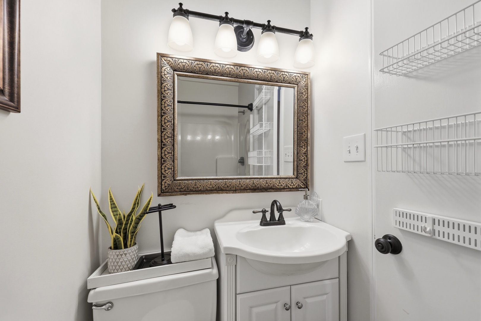 Dolphin Reach Down | Hall Full Bathroom