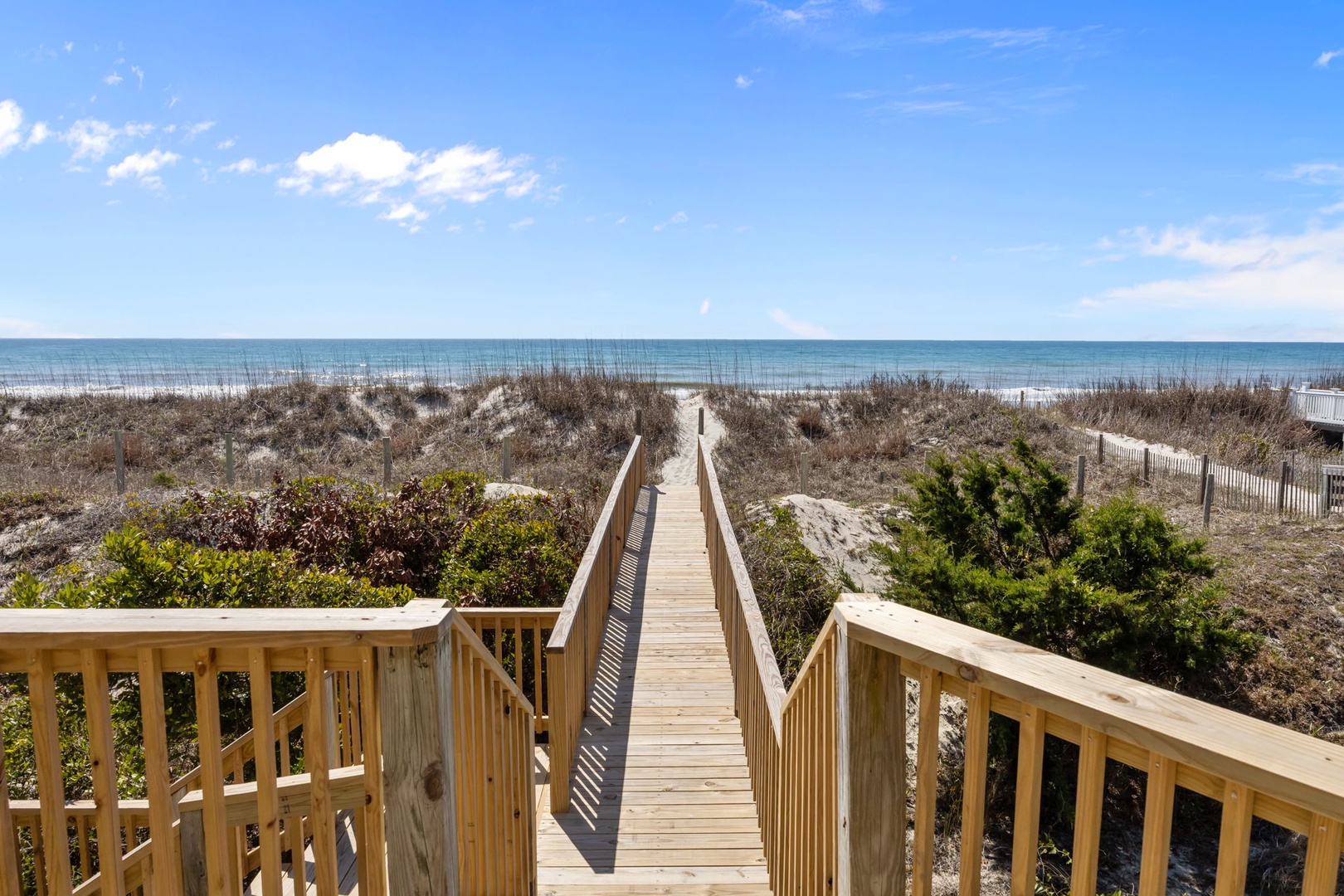 42-web-or-mls-IMG_9545