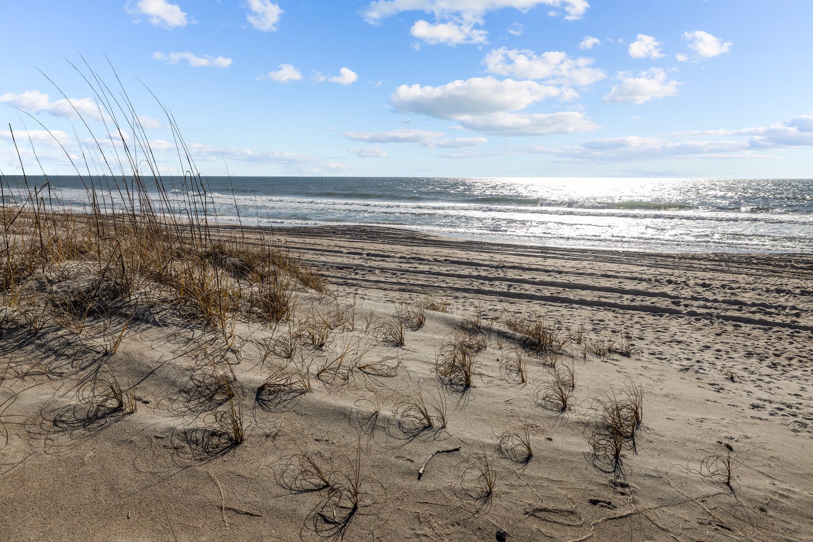 Pristine sandy beach with gentle waves and natural dune grasses, offering endless shoreline for peaceful walks and relaxation.