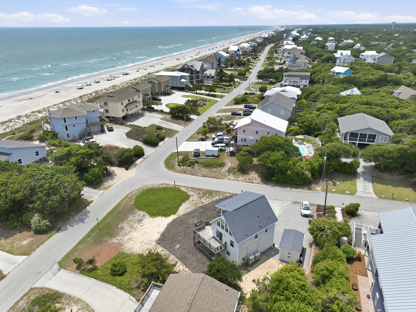 Dolphin Reach Down | Aerial View